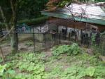 茶臼山動物園の写真のサムネイル写真25