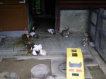 茶臼山動物園の写真のサムネイル写真32