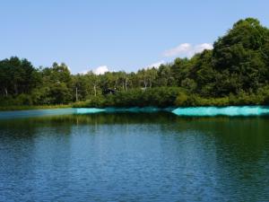 【アウトドア】松原湖キャンプ場つり堀からのBBQ！の写真4