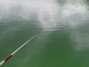 【ニジマス釣り】松原湖キャンプ場つり堀でニジマス釣り！の写真3