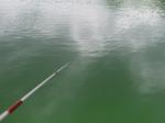 【ニジマス釣り】松原湖キャンプ場つり堀でニジマス釣り！の写真のサムネイル写真3