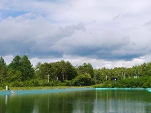 【ニジマス釣り】松原湖キャンプ場つり堀でニジマス釣り！の写真7