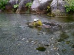 小滝川ヒスイ峡の写真のサムネイル写真6