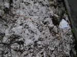 明星山の大岩壁の写真のサムネイル写真7