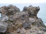 弁天岩の写真のサムネイル写真16