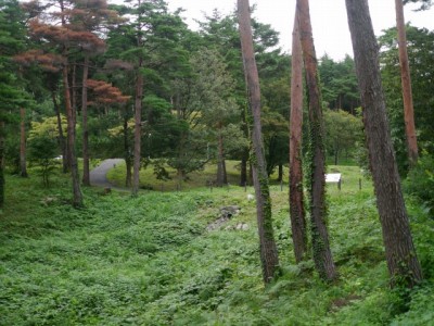 美山公園の写真12