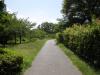 藤田邸跡公園（桜之宮公園）の写真のサムネイル写真2