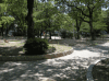 生玉公園の写真のサムネイル写真1