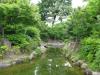 加賀屋緑地の写真のサムネイル写真4