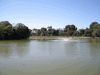 万代池の写真のサムネイル写真1