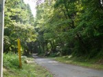 秩父の峠道の写真のサムネイル写真2