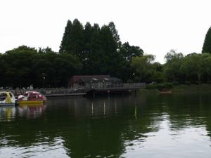 【その他】久喜菖蒲公園のペダルボートで遊ぶ！の写真14
