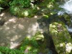 【川遊び】黒山三滝で川遊び！の写真のサムネイル写真2