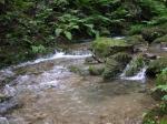【川遊び】黒山三滝で川遊び！の写真のサムネイル写真8