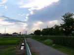 【ザリガニ釣り】高須賀池公園でザリガニ釣り！の写真のサムネイル写真10