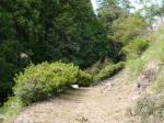 【レポート】和紙の里 彫刻の森で「ちょっとだけ」ハイキング！の写真のサムネイル写真3