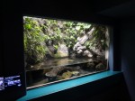 さいたま水族館の写真のサムネイル写真1