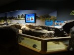 さいたま水族館の写真のサムネイル写真2