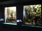 さいたま水族館の写真のサムネイル写真22