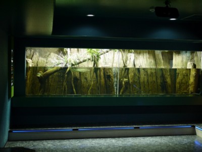 さいたま水族館の写真3
