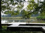 羽生水郷公園の写真のサムネイル写真44