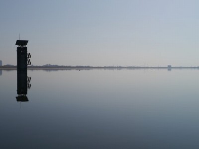 谷中湖（渡良瀬遊水地）の写真3