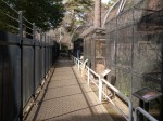 大宮公園小動物園の写真のサムネイル写真11