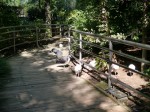 大宮公園小動物園の写真のサムネイル写真18