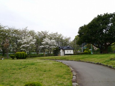大崎公園の写真9
