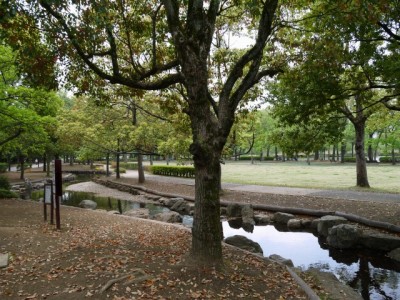 上尾丸山公園の写真29