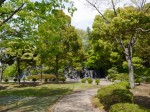 上尾丸山公園の写真のサムネイル写真39
