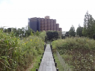 川口自然公園の写真11