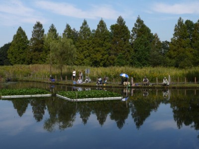 川口自然公園の写真29