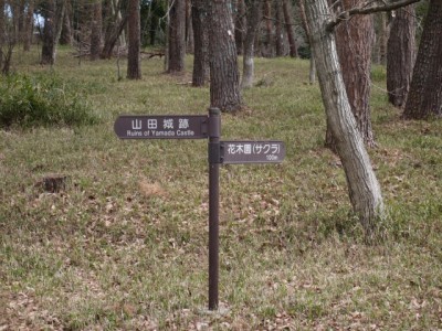 国営武蔵丘陵森林公園（南口）の写真3