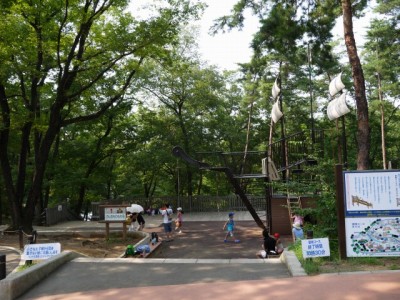 国営武蔵丘陵森林公園（西口）の写真12