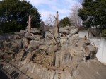狭山市智光山公園こども動物園の写真のサムネイル写真70