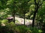 宝登山小動物公園の写真のサムネイル写真9