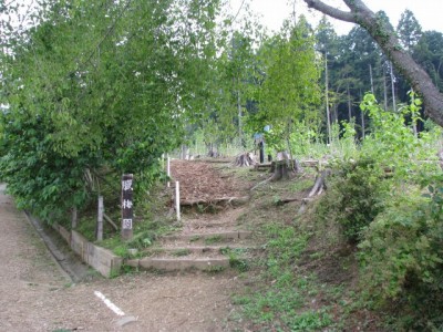 宝登山ロウバイ園の写真