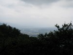 宝登山ロウバイ園の写真のサムネイル写真4