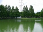 川越水上公園の写真のサムネイル写真9