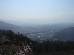 宝登山梅百花園の写真のサムネイル写真5
