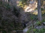 秩父華厳の滝の写真のサムネイル写真16