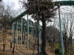 仙元山見晴らしの丘公園の写真のサムネイル写真35