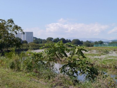 阿須運動公園の写真6