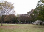 水子貝塚公園の写真のサムネイル写真6