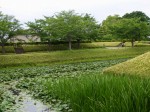 難波田城公園の写真のサムネイル写真40