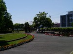 こうのす花まつり、市役所（せせらぎ公園）周辺の様子の写真のサムネイル写真12