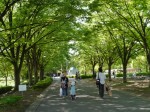 三橋総合公園の写真のサムネイル写真5