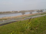 利根川河川敷 緑地公園の写真のサムネイル写真15