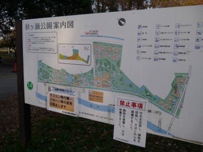 秋ヶ瀬公園の写真